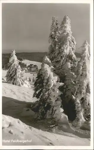 Feldberg Schwarzwald Hotel Feldbergerhof *