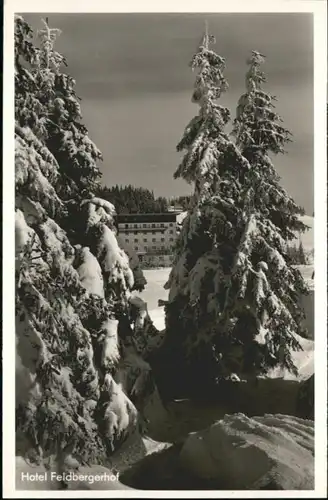 Feldberg Schwarzwald Hotel Feldbergerhof *