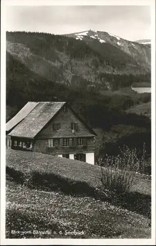 Feldberg Schwarzwald Seebuck *