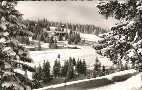 Feldberg Schwarzwald Gasthaus Pension Auerhahn *