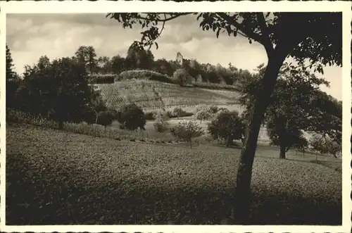 Emmendingen Ruine Hochburg *