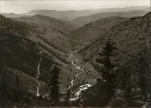 Feldberg Schwarzwald  *