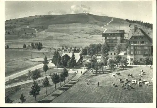 Feldberg Schwarzwald Hotel Feldberger Hof *