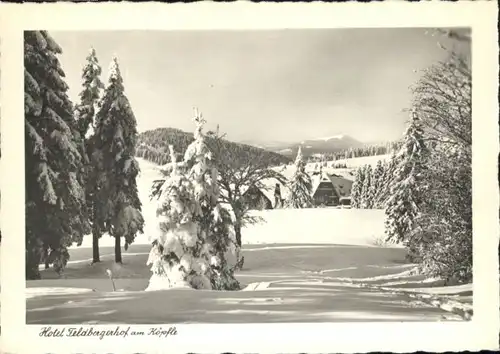 Feldberg Schwarzwald Hotel Feldberger Hof *