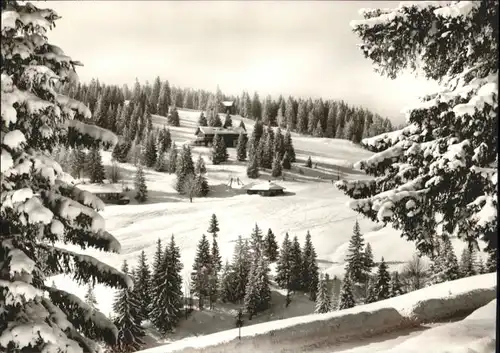 Feldberg Schwarzwald Gasthaus Pension Auerhahn *