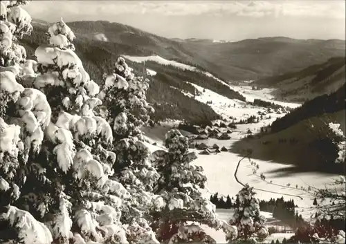 Feldberg Schwarzwald  *