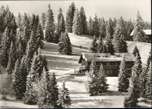 Feldberg Schwarzwald Gaestehaus Pension Auerhahn *