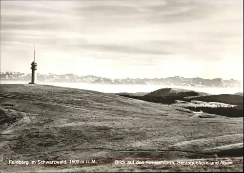 Feldberg Schwarzwald Fernsehturm Herzogenhorn *