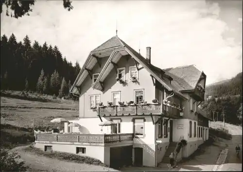 Hinterzarten Alpersbach Gasthaus Pension Esche *