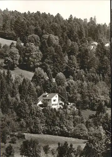 Todtmoos Schwarzenbach Haus Bergfried *