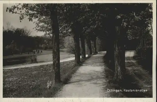 Dillingen Donau Kastanienallee *