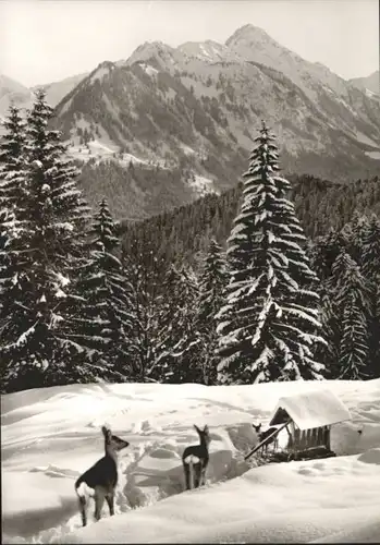 Oberstdorf Naturfreundehaus Freibergsee *