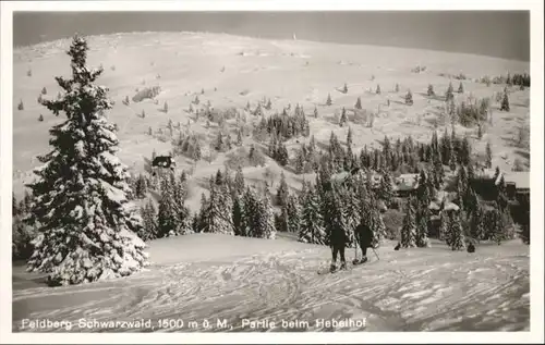 Feldberg Schwarzwald Hebelhof *