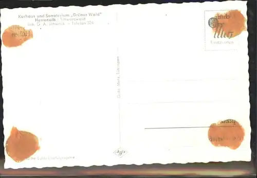 Bad Herrenalb Kurhaus Sanatorium Gruener Wald *