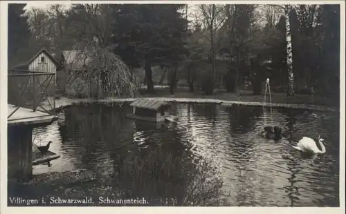 Villingen-Schwenningen Villingen Schwanenteich * / Villingen-Schwenningen /Schwarzwald-Baar-Kreis LKR