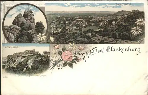 Blankenburg Harz Regenstein