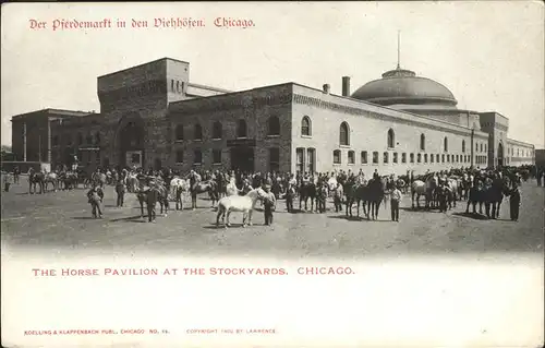 Chicago Illinois Pferdemarkt in den Viehhoefen Kat. Chicago