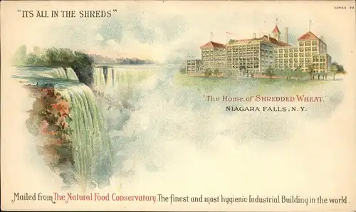 Niagara Falls New York Natural Food Conservatory Building Kuenstlerkarte Kat. Niagara Falls