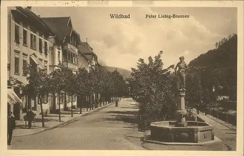 Wildbad Schwarzwald Peter-Liebig-Brunnen Kat. Bad Wildbad