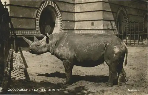 Berlin Zoologischer Garten Nashorn Kat. Berlin