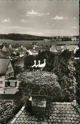 Bad Duerrheim Storch Nest Kat. Bad Duerrheim