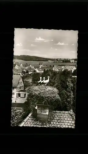 Bad Duerrheim Storch Nest Kat. Bad Duerrheim