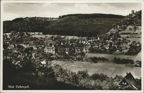 Bad Liebenzell Panorama Kat. Bad Liebenzell