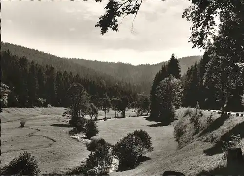 Altensteig Schwarzwald Nagoldtal / Altensteig /Calw LKR