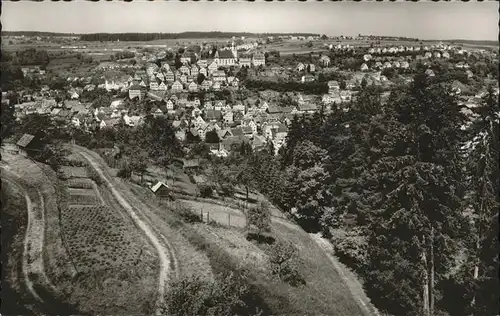 Altensteig Schwarzwald Gesamtansicht / Altensteig /Calw LKR