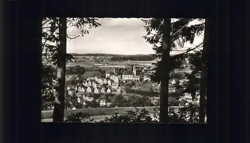 Altensteig Schwarzwald Gesamtansicht / Altensteig /Calw LKR