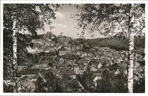 Altensteig Schwarzwald Gesamtansicht / Altensteig /Calw LKR