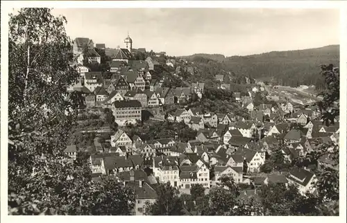 Altensteig Schwarzwald Gesamtansicht / Altensteig /Calw LKR