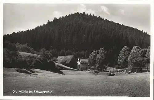 Altensteig Schwarzwald Pension Kropfmuehle / Altensteig /Calw LKR