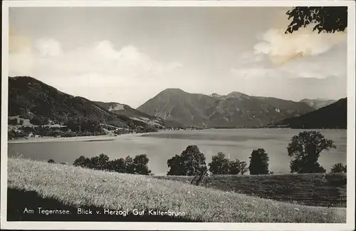 Tegernsee  Kat. Tegernsee