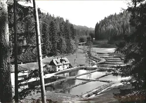 Altensteig Schwarzwald Gasthaus Kohlmuehle / Altensteig /Calw LKR