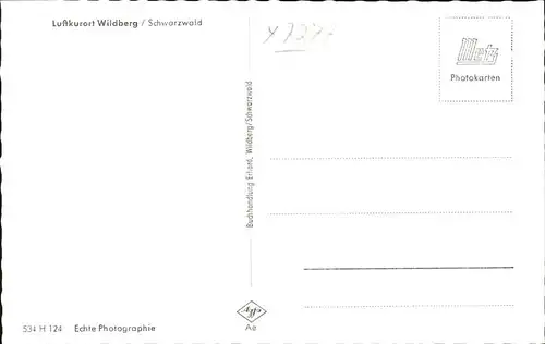 Wildberg Schwarzwald Bruecke / Wildberg /Calw LKR