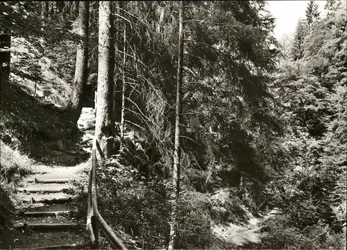 Wildberg Schwarzwald  / Wildberg /Calw LKR