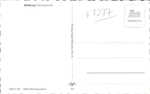 Wildberg Schwarzwald Bruecke / Wildberg /Calw LKR