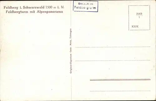 Feldberg Schwarzwald Feldbergturm Alpenpanorama Kat. Feldberg (Schwarzwald)