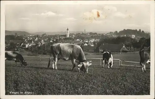 Wangen Allgaeu Kuehe Kat. Wangen im Allgaeu