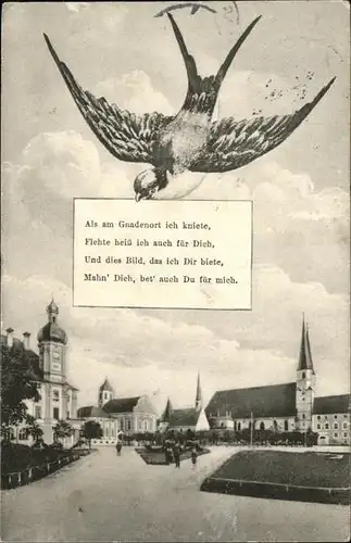 Altoetting Vogel Kat. Altoetting