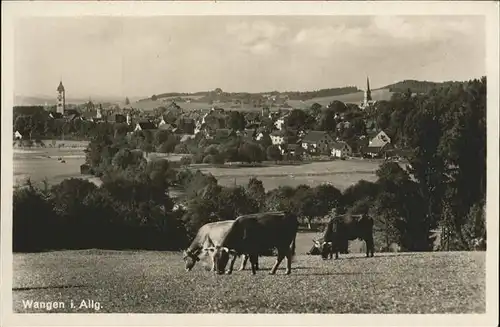 Wangen Allgaeu Kuehe Kat. Wangen im Allgaeu