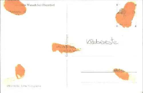 Oberstdorf Sanatorium Wasach Kat. Oberstdorf