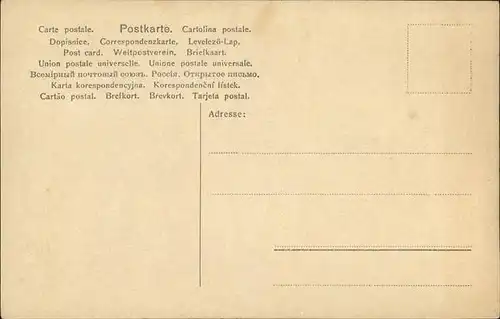 Potsdam Einzug Kronprinzenpaar Pferdekutsche / Potsdam /Potsdam Stadtkreis