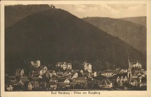 Bad Harzburg Villen am Burgberg Kat. Bad Harzburg