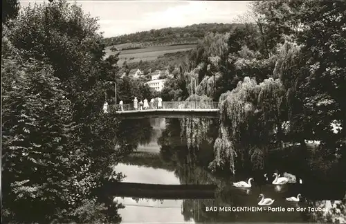 Bad Mergentheim an der Tauber Schwaene Bruecke Kat. Bad Mergentheim