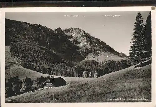 Ruhpolding Hocherb-Alm Bruendlingalmen Hochfelln Kat. Ruhpolding