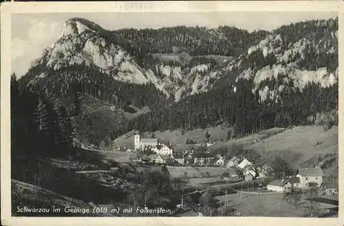 Schwarzau Gebirge Falkenstein Kat. Schwarzau im Gebirge