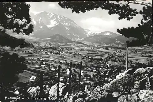 Puchberg Schneeberg  Kat. Puchberg am Schneeberg