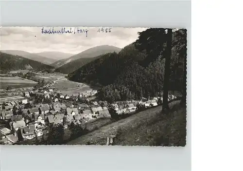 Lautenthal Harz Panorama Innerstetal